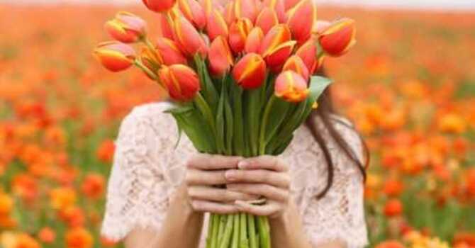 Stop & Smell The Flowers image