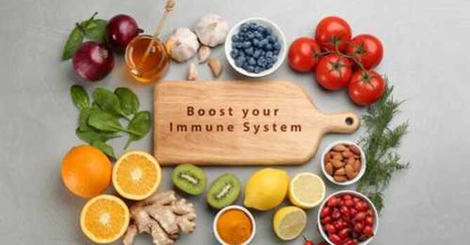 Boosting the Immune System image