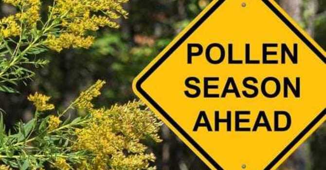 Sinus Issues? Acupuncture Can Help! image