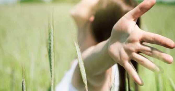 10 Tips to a Long, Vibrant, & Healthy Life image