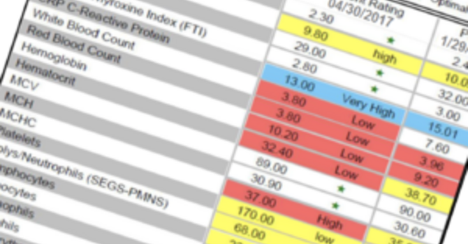 Nutritional Assessment & Blood Testing